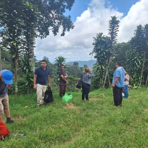 The Rocks MEDIUM ROAST