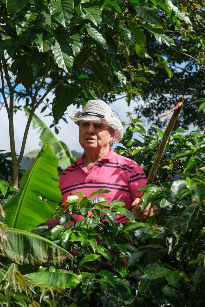 juanachute6-685x1024